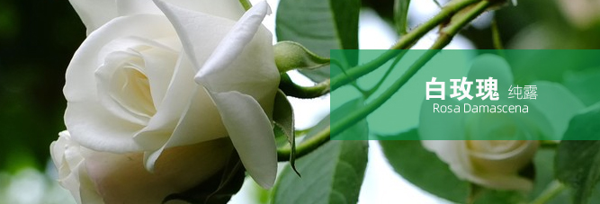 e6cf2871ccade465be18eadc4743a0f1.jpg