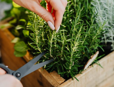 20220511/02afadb4a270d8b02a44381b0eb3efc2.png 02afadb4a270d8b02a44381b0eb3efc2.png