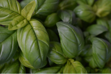 20220511/7ce60569912a0641352575a3fb3dd4a1.png 7ce60569912a0641352575a3fb3dd4a1.png