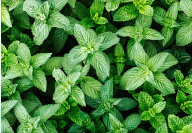 20220511/9e130fd5f1d017f453c578309141211a.png 9e130fd5f1d017f453c578309141211a.png