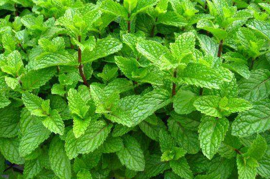 20220531/fe1f749b7bfc6828cc2401ca638b5742.jpg fe1f749b7bfc6828cc2401ca638b5742.jpg